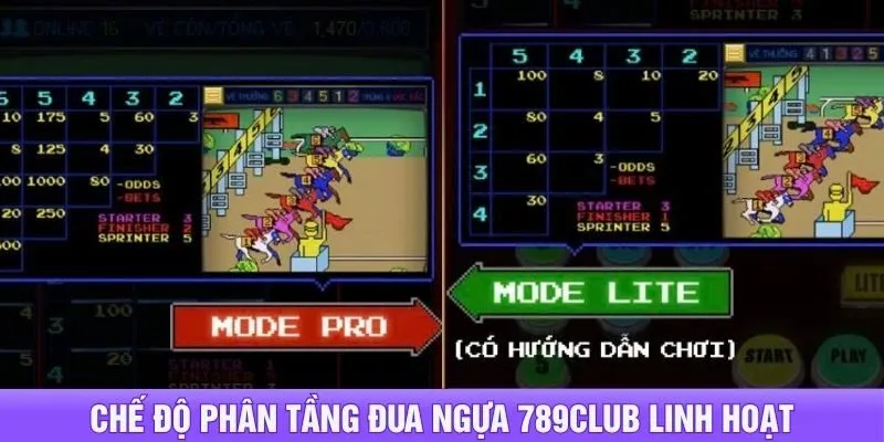 Chế độ phân tầng đua ngựa 789club linh hoạt