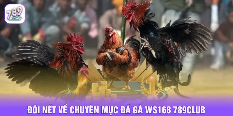Đá gà WS168 789CLUB cung cấp hàng loạt trận đấu hấp dẫn
