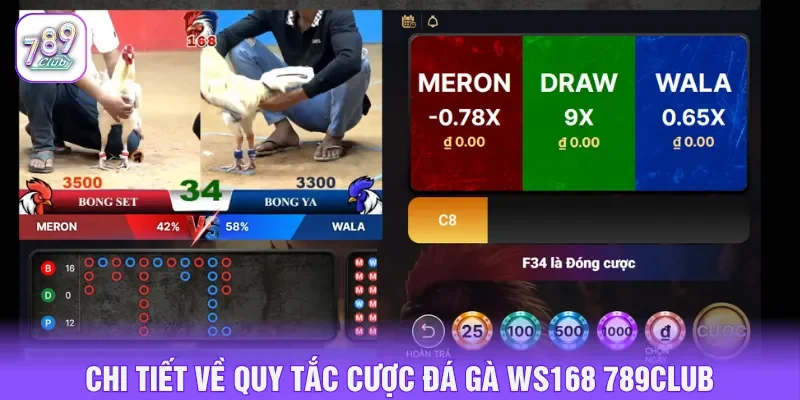 Đá gà WS168 789Club với quy tắc đặt cược cần nắm rõ