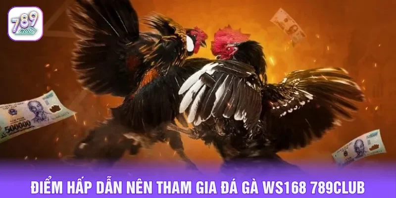 Truyền hình trực tiếp tại 789CLUB chuẩn nét và ổn định